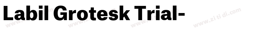 Labil Grotesk Trial字体转换